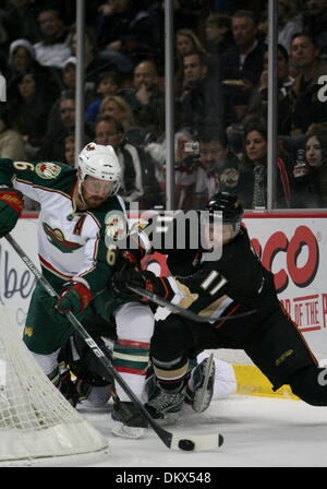 29. Dezember 2009 - Anaheim, Kalifornien, USA - Minnesota Wild Verteidiger Greg Zanon, links, Schlachten, den Puck von Anaheim Ducks Zentrum Saku Koivu, Recht, während der zweiten Periode ein NHL-Spiel im Honda Center zu halten.  (Kredit-Bild: © Mark Samala/ZUMA Press) Stockfoto