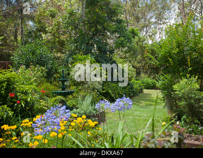 Spektakuläre subtropischen Bauerngarten - dekorative Brunnen Wasserspiel, smaragdgrüne Blätter, blühende Sträucher, Stauden, Rasen Stockfoto