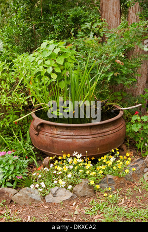 Große Metall-Kessel / Wanne - spektakuläre und einzigartige Wasser feature mit Wasserpflanzen in Beet mit bunten Blumen Stockfoto