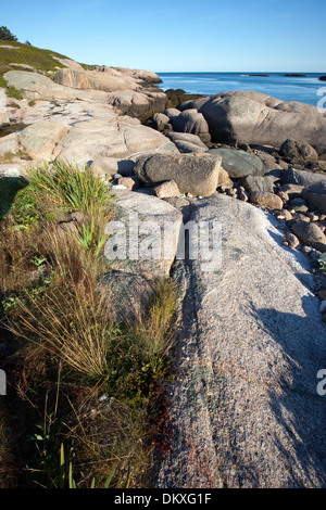 Down East Fehler Insel, Fehler Harbor, Maine Stockfoto