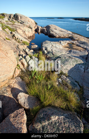 Down East Fehler Insel, Fehler Harbor, Maine Stockfoto