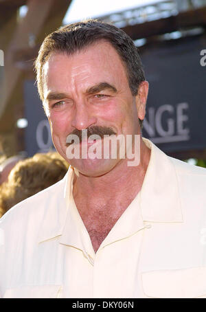 1. Januar 1980 - CALIFORNIA - K32180KI -.'' OPEN RANGE'' PREMIERE -. CINERAMA DOME ARCLIGHT KINOS IN HOLLYWOOD, KALIFORNIEN -.08/11/2003. KATHRYN INDIEK / 2003.TOM SELLECK (Kredit-Bild: © Globe Photos/ZUMAPRESS.com) Stockfoto