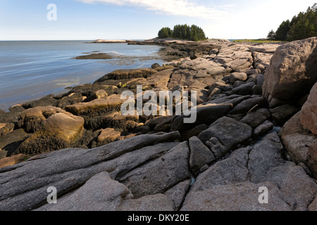 Great Wass Island Preserve, Maine Stockfoto