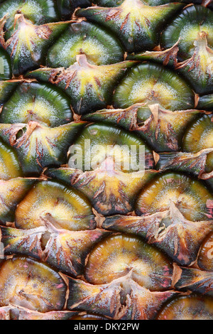 Closeup Ananas Schale mit full-Frame-kurz Stockfoto