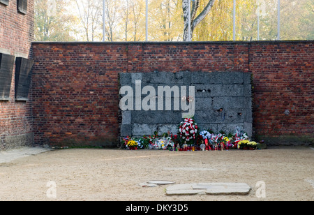 Memorial Wall Auschwitz deutschen Nazi-Konzentration Tod Camp polnischen Menschen Juden ausgeführten gefoltert Auschwitz-Birkenau Museum Pola Stockfoto