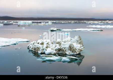 Cape Waring, Wrangel Island, Chuckchi Meer, russischen Fernen Osten, UNESCO-Weltkulturerbe Stockfoto