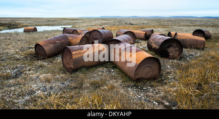 Verrostete Trommeln in der Tundra, Mammut-Fluss, Wrangel Island, russischen Fernen Osten, UNESCO-Weltkulturerbe Stockfoto