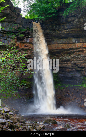 Hardraw Force Wasserfall, Yorkshire Dales National Park, England. Stockfoto