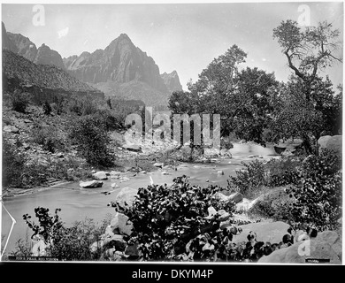 Zions Peak, Rio Virgin, Utah. Alte Nr. 92. 'Der Wächter, Zion National Park - r.t. Evans' nicht das Grün ist sehr... 517748 Stockfoto