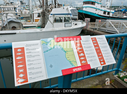 Washington, Seattle, Fischer Terminal, North Pacific Fischereiflotte Arten gefangen durch die Flotte Informations Schild Stockfoto