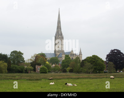 GV der Kathedrale von Salisbury, Wiltshire. 29. Mai 2013 Stockfoto