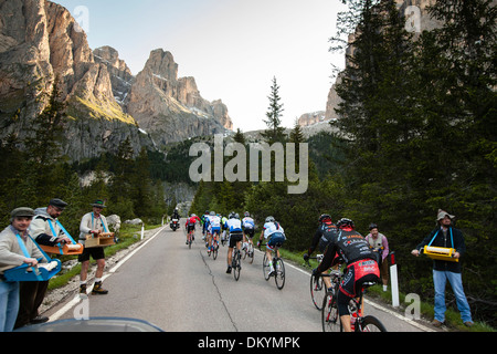 Pack der Radfahrer fahren am Berg beim Maratona Dles Dolomiten Rennen in Italien, 2013 Stockfoto