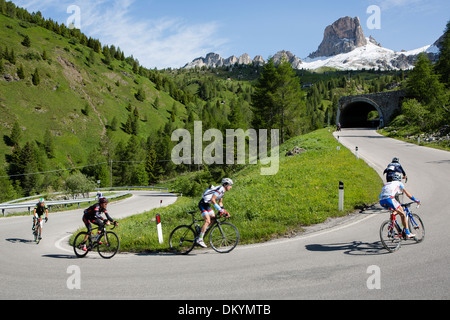 Pack der Radfahrer fahren am Berg beim Maratona Dles Dolomiten Rennen in Italien, 2013 Stockfoto