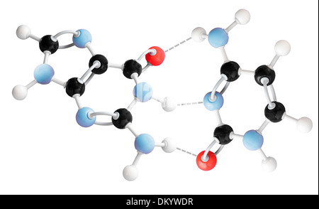 Molekül-Modell zeigt Cytosin-Guanin Interaktion Stockfoto