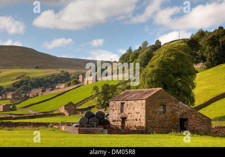 Feld-Scheunen an Gunnerside, Swaledale, Yorkshire Dales National Park, England. Stockfoto