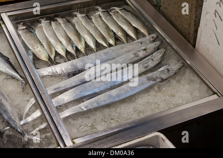 Frischfisch auf Eis Anzeige bei Shijang (traditionelle Markt) - Südkorea Stockfoto