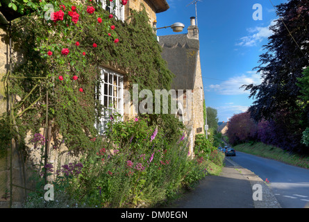 Rose bedeckt Reetdachhaus, Ebrington, Gloucestershire, England. Stockfoto