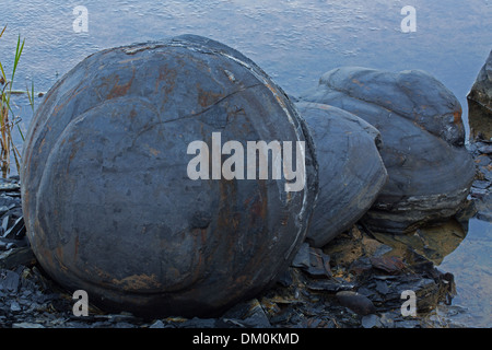 Marcellus Shale, in der Nähe von Marcellus New York, Quelle von Erdgas, Fracking umstritten, verwitterte Konkretionen Stockfoto