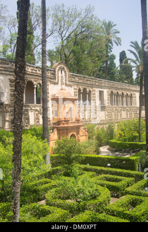 Gärten des Alcázar (Königlicher Palast), Sevilla, Andalusien, Spanien. "Wassergärten von Dorne" in Game of Thrones. Stockfoto