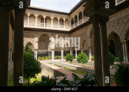 Der Hof der Jungfrauen im Alcazar (Königlicher Palast), Sevilla, Andalusien, Spanien. Stockfoto