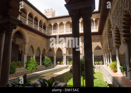 Der Hof der Jungfrauen im Alcazar (Königlicher Palast), Sevilla, Andalusien, Spanien. Stockfoto