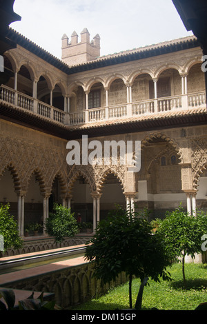 Der Hof der Jungfrauen im Alcazar (Königlicher Palast), Sevilla, Andalusien, Spanien. Stockfoto