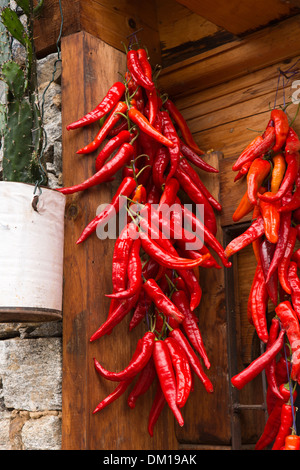 Bhutan, Bumthang Valley, Jakar, Chamkhar rote Chilis trocknen außerhalb Holzfenster Stockfoto