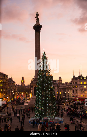 Weihnachtsbaum am Trafalgar Square in London. Stockfoto