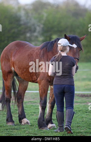 Teenager-Mädchen mit einer Bucht Welsh Cob Stockfoto