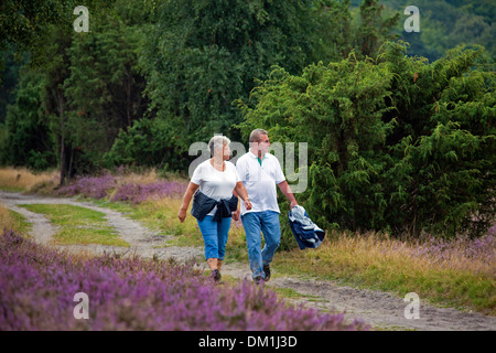 Älteres Ehepaar zu Fuß durch die Lüneburg Heath / Lunenburg Heathland im Sommer mit Heidekraut blühen, Niedersachsen, Deutschland Stockfoto