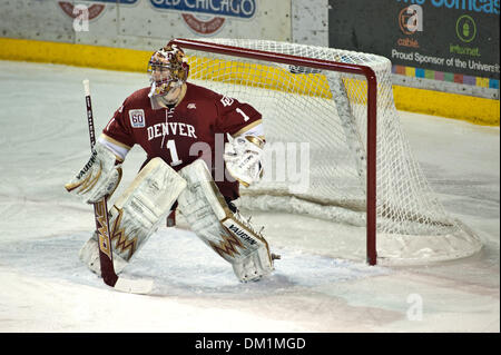 2. Januar 2010 - Denver, Colorado, USA - 2. Januar 2010: Denver Pionier Torwart Marc Cheverie (1) während der Spielaktion gegen die Boston College Eagles während der Wells Fargo Denver Cup in Magness Arena in Denver, Colorado... Obligatorische Credit: Andrew Fielding / Southcreek Global (Kredit-Bild: © Andrew Fielding/Southcreek Global/ZUMApress.com) Stockfoto