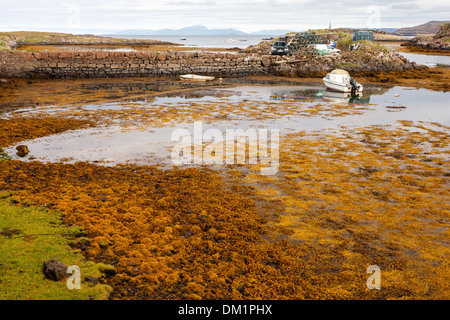 Croig Pier und Hafen auf der Insel Mull in Schottland auf Skye Stockfoto