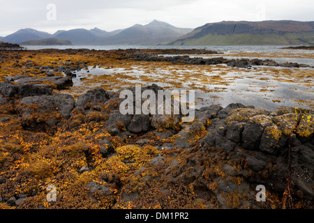 Die Insel Ulva, mit Blick auf Ben More auf der Isle of Mull Stockfoto