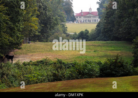 Mount Vernon Plantage Fairfax Virginia Heimat von US-Präsident George Washington, Stockfoto