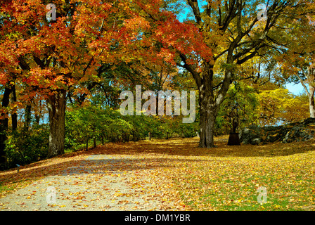 Spaziergang im Park. Stockfoto