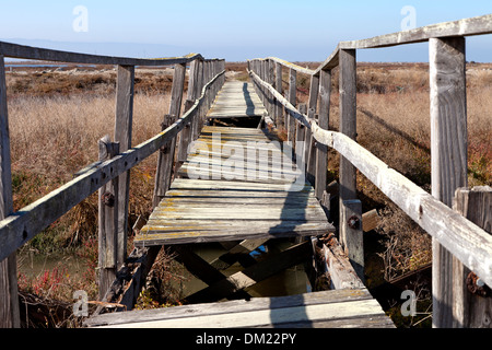 Eine Brücke überquert den Sumpf in der Geisterstadt Zugbrücke im südlichen San Francisco Bay. Stockfoto