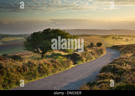 die Straße über Stoke Pero üblich, Dunkery Hill, Exmoor National Park, Somerset, England, UK Stockfoto