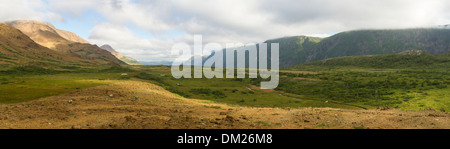 Blick auf den Hochebenen und Klippen entlang der nebligen Forellenteich River Valley in Gros Morne National Park, Neufundland Stockfoto