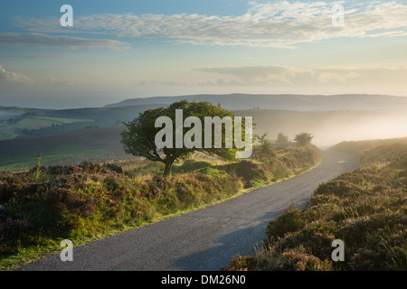 die Straße über Stoke Pero üblich, Dunkery Hill, Exmoor National Park, Somerset, England, UK Stockfoto