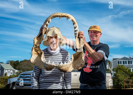 Frau posiert mit Kieferknochen von einem großen weißen Hai, Menemsha, Martha's Vineyard, Massachusetts, USA Stockfoto