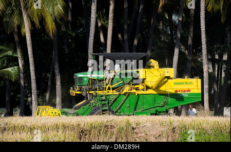 Indische kombinieren Mähdrescher ernten Reisernte. Andhra Pradesh, Indien Stockfoto