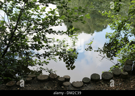 Hampstead Heath ist einem großen, alten Park im Norden Londons mit 790 Hektar öffentliche Grünflächen. Stockfoto