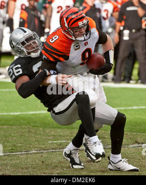 21. November 2009 - Oakland, Kalifornien, USA - Oakland Raiders Vs Cincinnati Bengals in Oakland-Alameda County Coliseum Sonntag, 22. November 2009, quarterback Oakland Raiders Cornerback Stanford Routt #26 Säcke Cincinnati Bengals Carson Palmer #9. (Kredit-Bild: © Al Golub/ZUMApress.com) Stockfoto