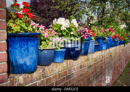 Linie der blauen Pflanzer im kleinen Innenhof-Garten in UK Stockfoto