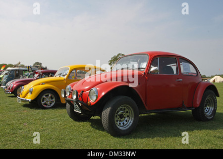 VW Käfer bei einer VW-show Stockfoto