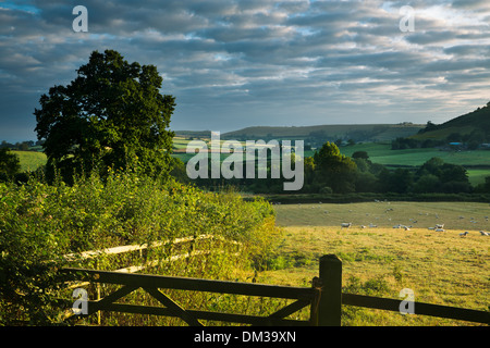 Sonnenaufgang in der Nähe von Sandford Orcas, Dorset, England Stockfoto