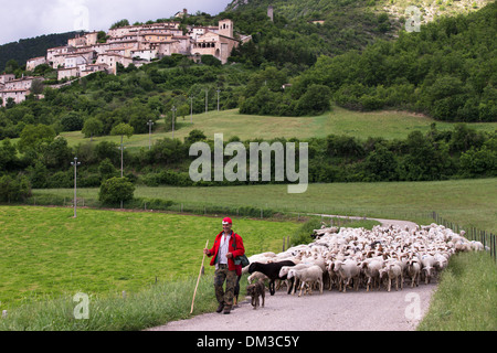 ein Schäfer mit seiner Herde, Campi, Valnerina, Umbrien, Italien Stockfoto