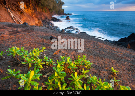 Hamakua, Küste, USA, USA, Amerika, Hawaii, Big Island, Meer, Pazifikküste, Morgenlicht, Stockfoto