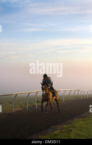 Fahrt am frühen Morgen in Middleham, Yorkshire, Großbritannien. Dezember 2013. Morgenwetter in Großbritannien mit Nebel- und Inversionsschicht über Middleham Training Gallops, North Yorkshire Dales. Middleham verfügt jetzt über sein eigenes Gras und Allwettergaloppen auf den Low und High Moors. Middleham ist ein führendes Schulungszentrum in Großbritannien, wo fünfzehn Ausbilder ihren Sitz haben. Die Ausstattung und das Layout wurden weiter verbessert, sodass Trainer fit- und Wettkampfsportler aussenden können, und wurden mit weiteren Erfolgen auf höchster Ebene belohnt. Stockfoto