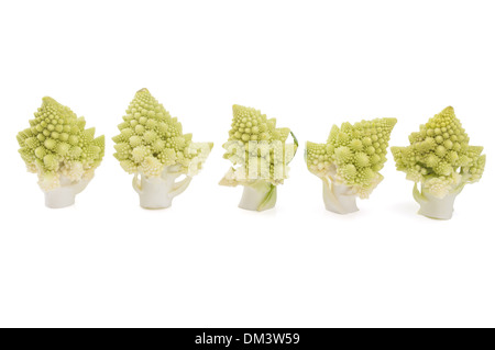 Frisch geschnitten Sie Romanesco Brokkoli (Brassica Oleracea) Stücke auf weißem Hintergrund Stockfoto